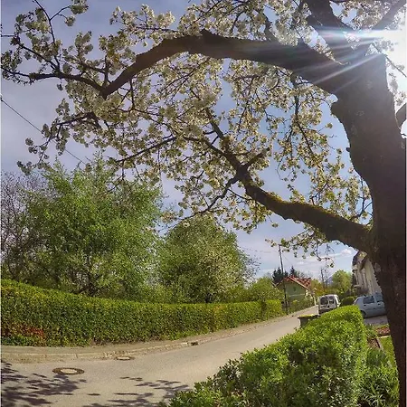Apartment Southwest 2 Semi-basement *
