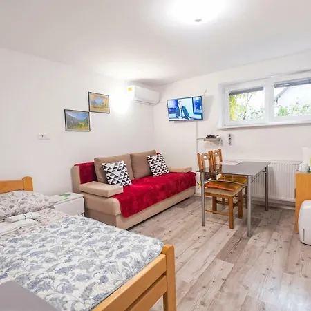 Newly Renovated With Air Conditioner & Free Parking Appartement Ljubljana