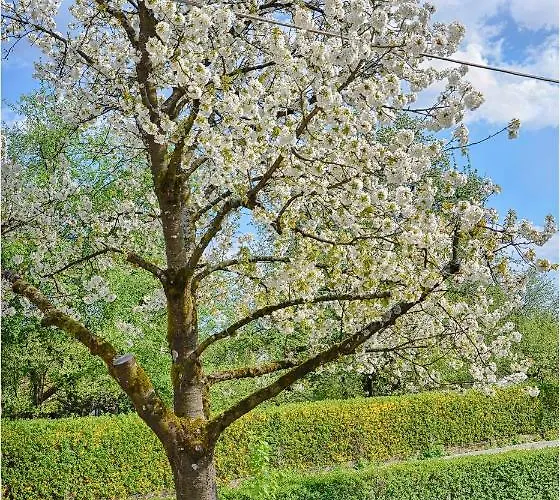 Southwest 2 Semi-basement Apartment *