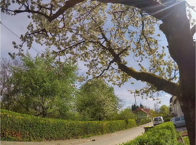 Διαμέρισμα Southwest 2 Semi-basement *