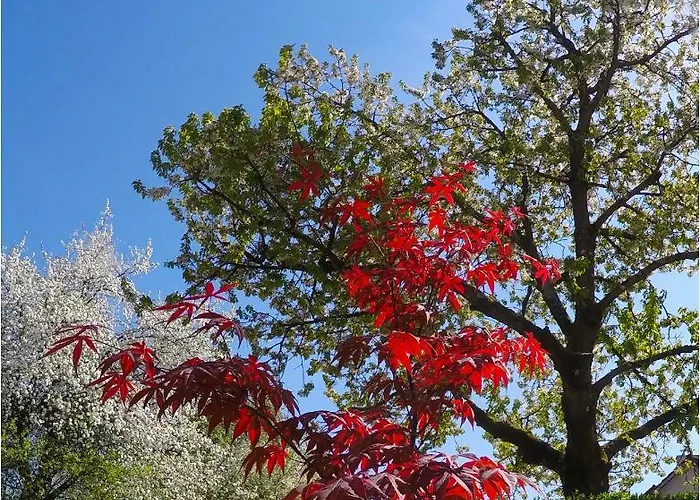 Апартаменты Southwest 2 Semi-basement Любляна