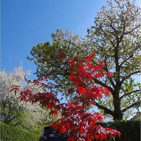 Apartmán Southwest 2 Semi-basement Lublaň