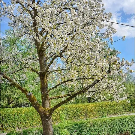 Southwest 2 Semi-basement Apartmán *